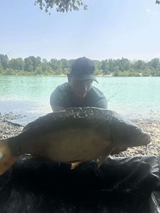 Mirror Carp