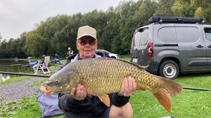 Common Carp