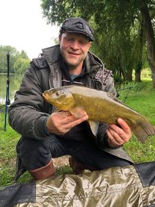 Tench