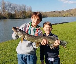 Northern Pike