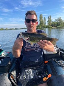 Largemouth Bass