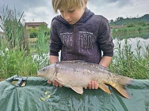 Mirror Carp