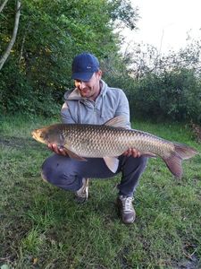 Grass Carp