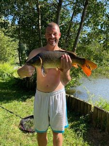 Common Carp