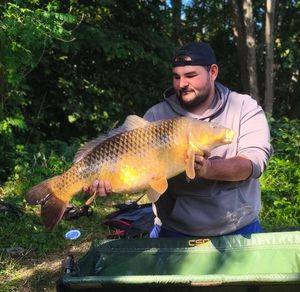 Common Carp