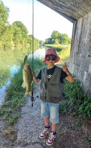 Largemouth Bass