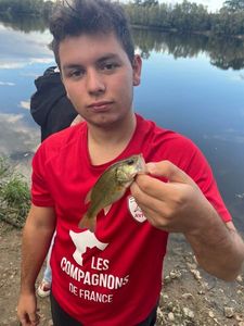 Smallmouth Bass