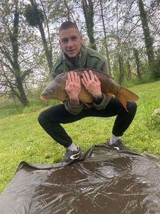 Mirror Carp