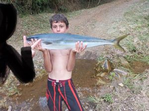 Rainbow Runner
