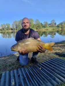 Mirror Carp