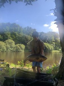 Mirror Carp