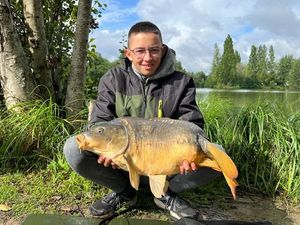 Mirror Carp