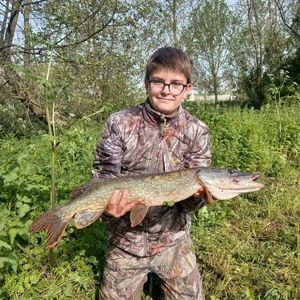 Northern Pike