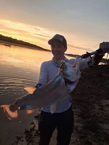 Payara