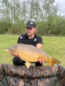Mirror Carp