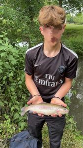 Rainbow Trout