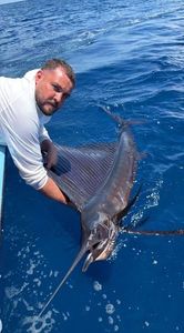 Roosterfish