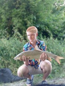 Barbel