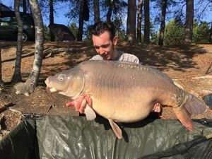 Mirror Carp