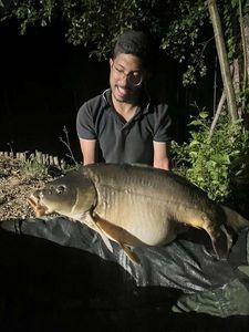 Mirror Carp