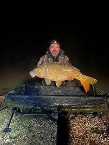 Mirror Carp