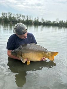 Leather Carp