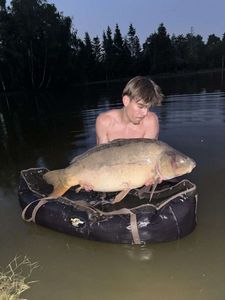 Mirror Carp