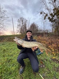 Northern Pike