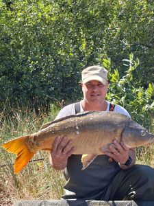 Mirror Carp