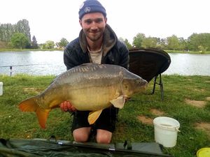Mirror Carp