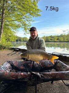 Leather Carp