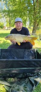 Leather Carp