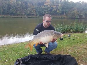 Mirror Carp