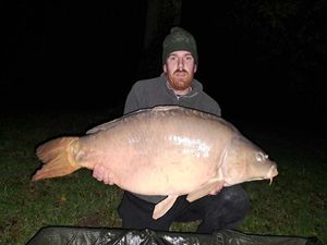 Mirror Carp