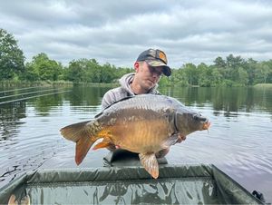 Mirror Carp
