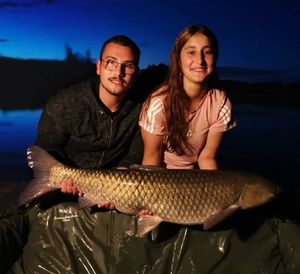 Grass Carp