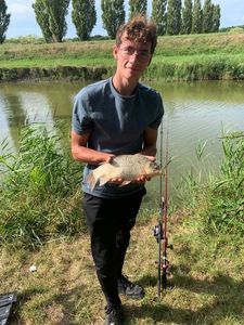 Crucian Carp