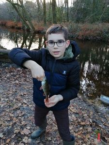 European Perch