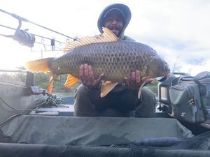 Common Carp