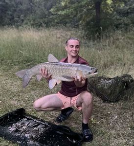 Grass Carp