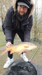 Mirror Carp
