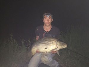 Common Carp