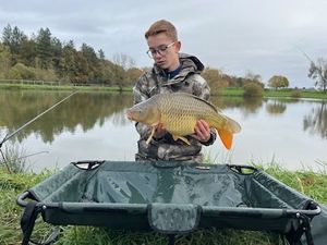 Common Carp