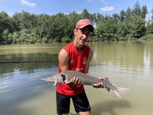 Sturgeon