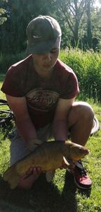 Tench