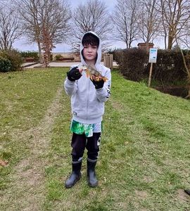 European Perch