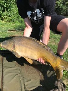 Leather Carp