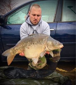 Mirror Carp