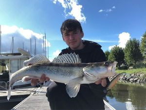 Zander