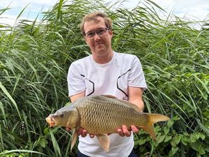 Common Carp